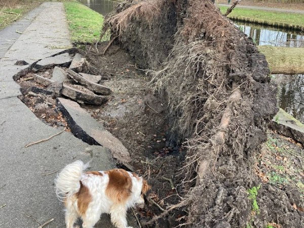 Stormt het ook in jouw&nbsp;leven?