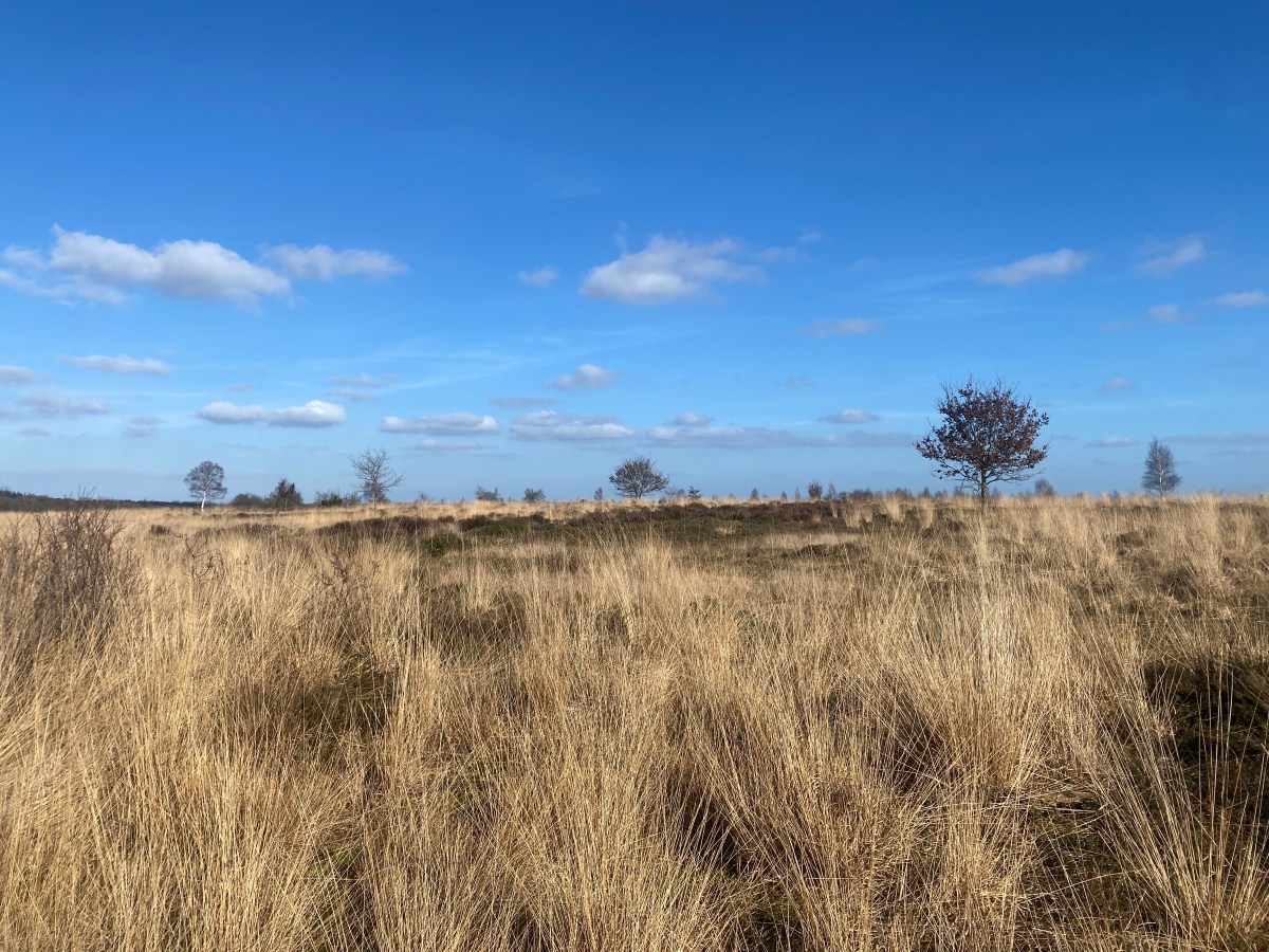 Dit is waarom ik niet meer groet tijdens een&nbsp;wandeling