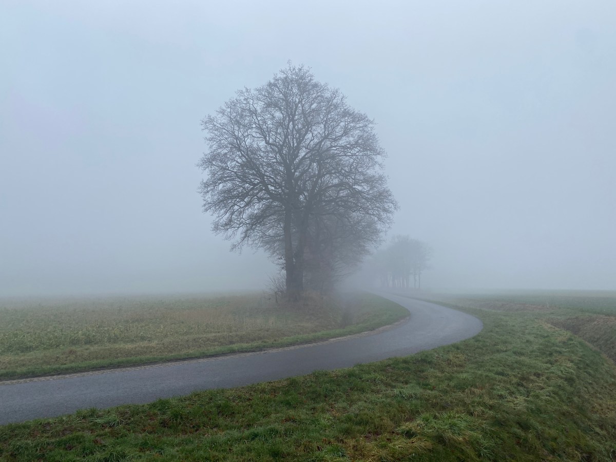 Wandelen als medicijn voor&nbsp;hartenpijn