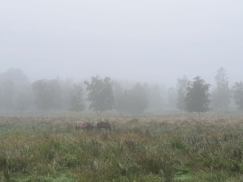 Rondje de Uithof Den Haag 