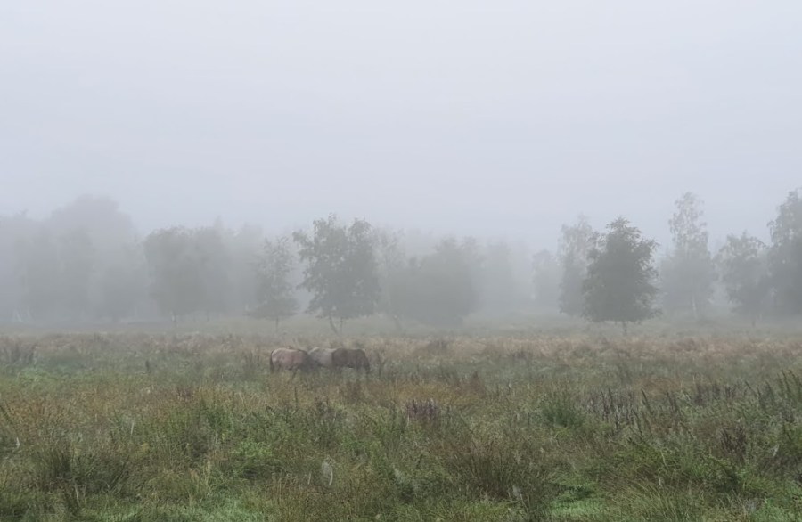 rondje uithof den haag