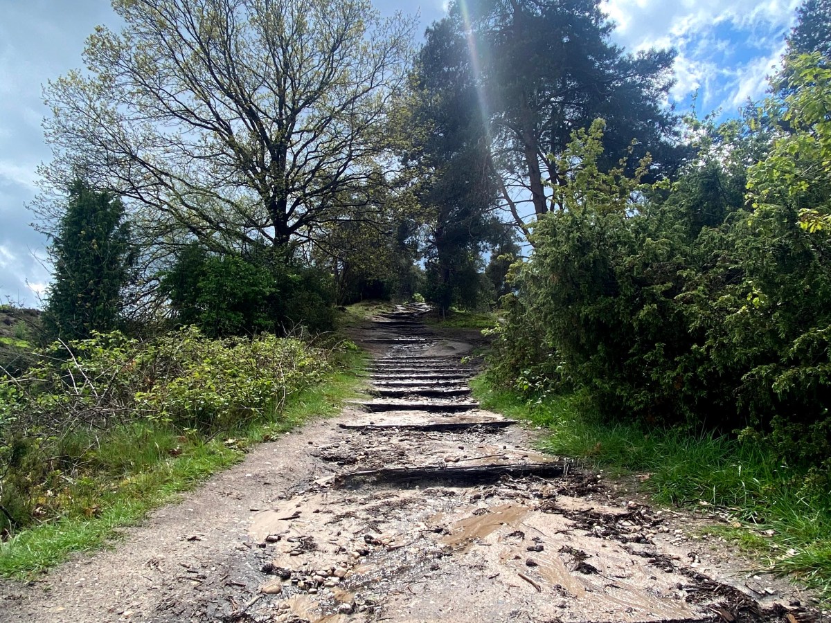 Coaching op het&nbsp;levenspad