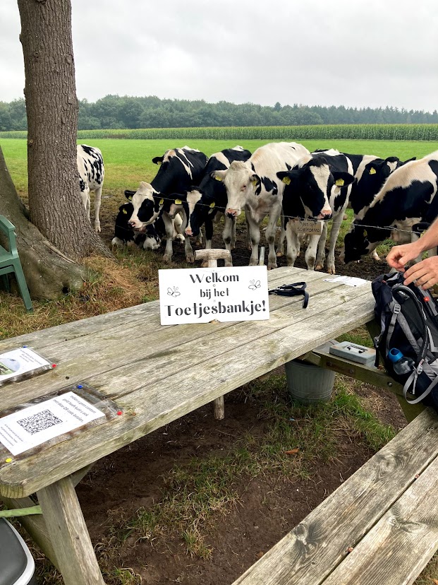 toetjesbankje pieterpad