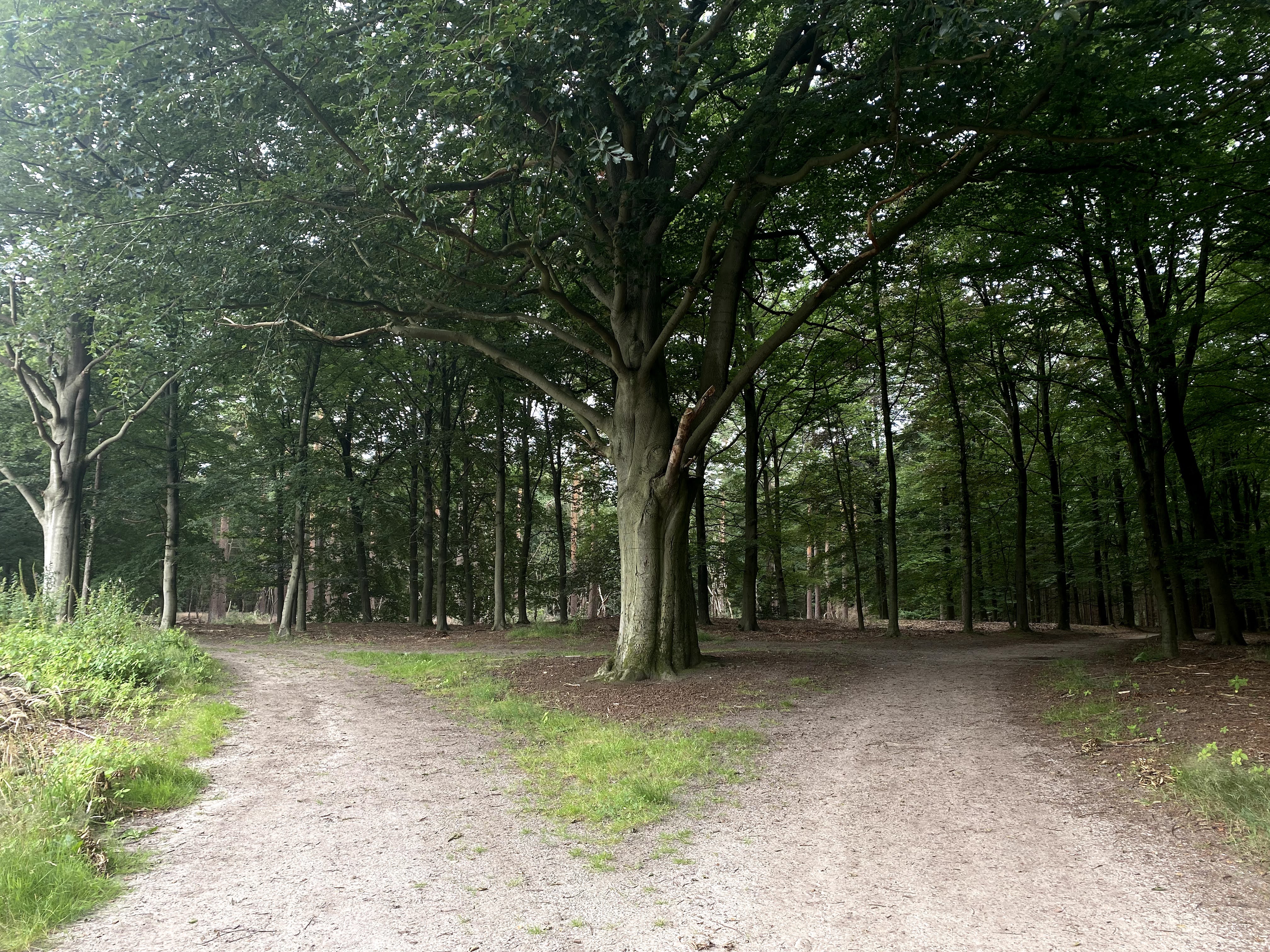 neerwaartse spiraal doorbreken wandelen wandelachtig