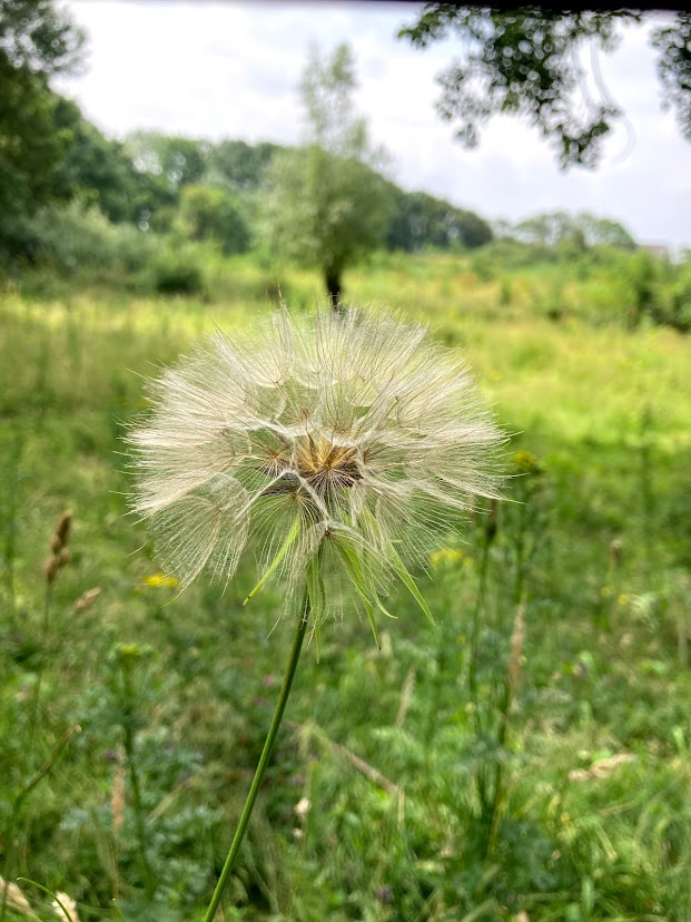 rondje uithof den haag