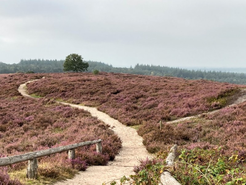 Het Pieterpad, deel 2. In mijn hart&nbsp;geschoten.