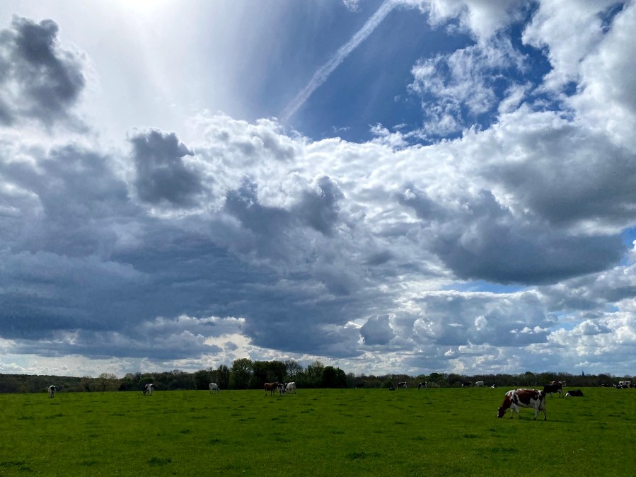 wandelen pijn wandelachtig