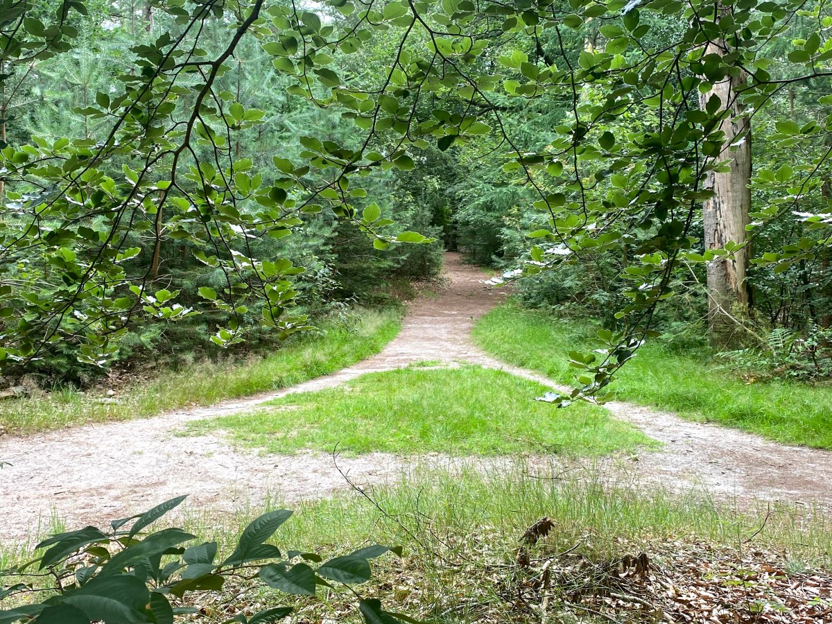 Dit is hoe je de neerwaartse spiraal&nbsp;doorbreekt