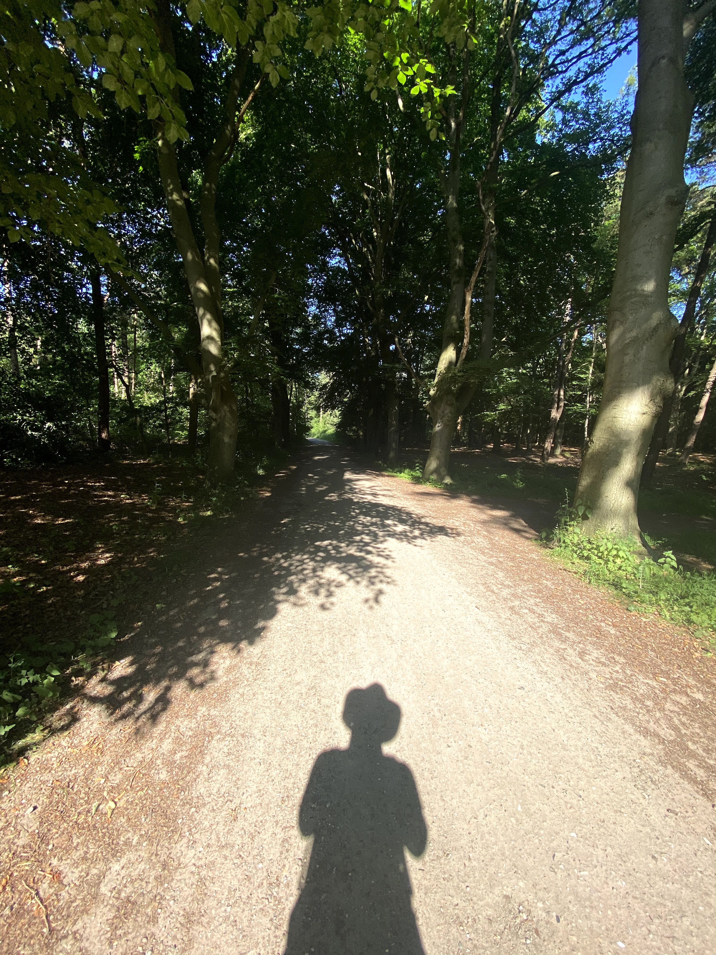 wandelen in je eentje 