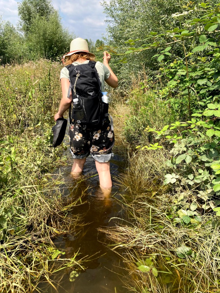 wat wandelen mij kan leren