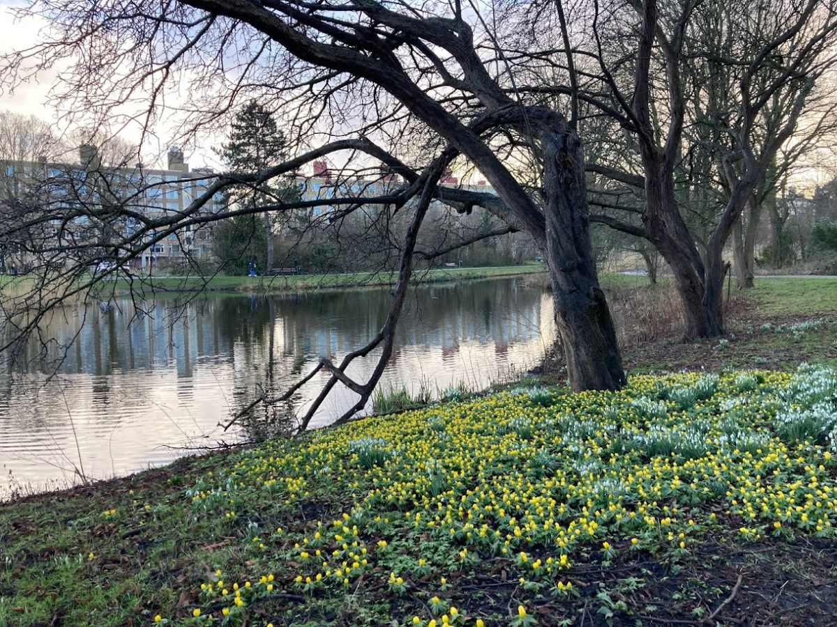 Het grote geluk van de&nbsp;lente!