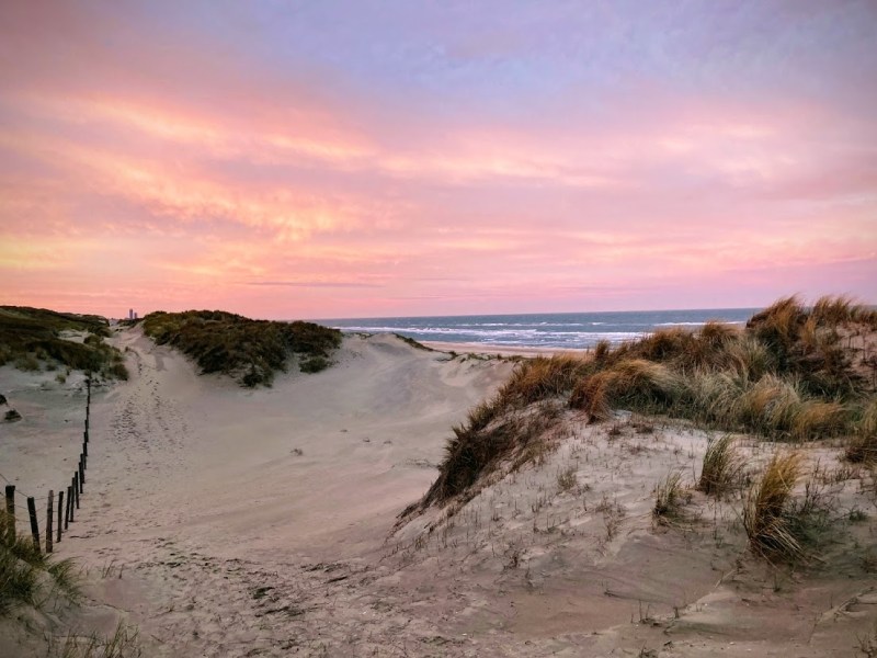 Opruim avontuur in&nbsp;Meyendel