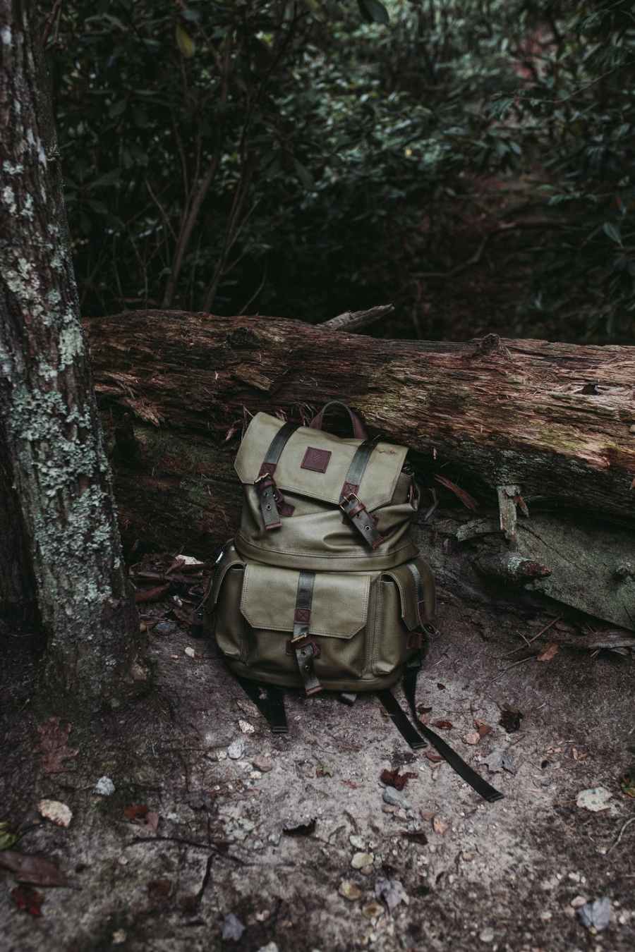rugzak in het bos op de grond