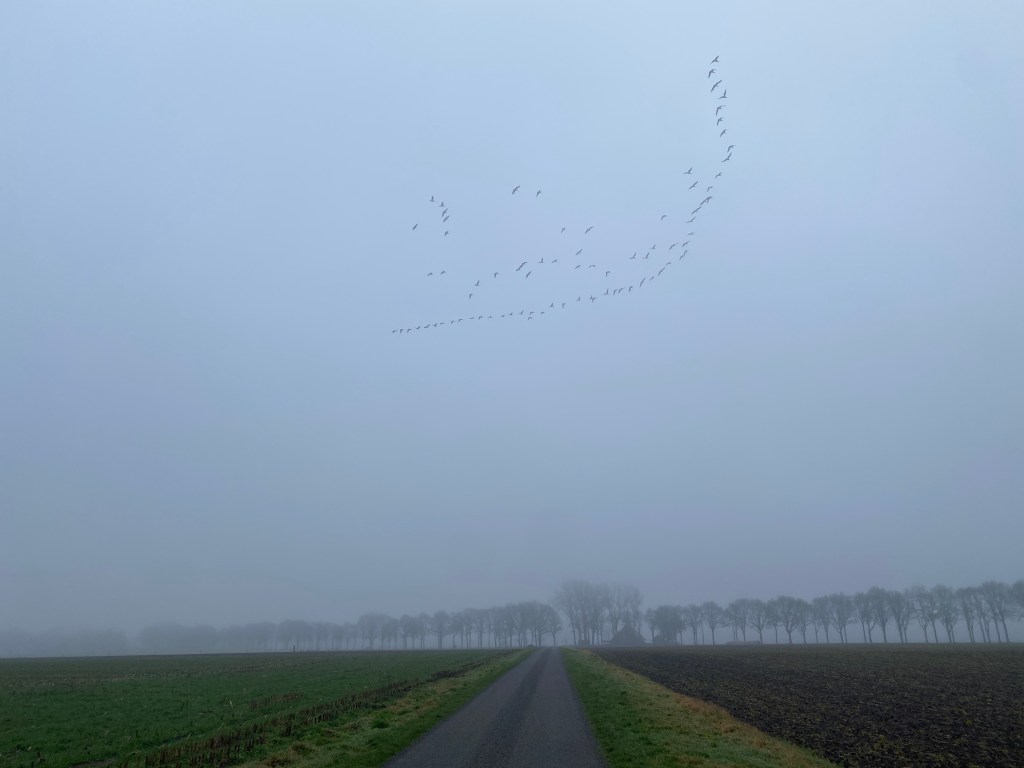 Wandelen met rembrandt