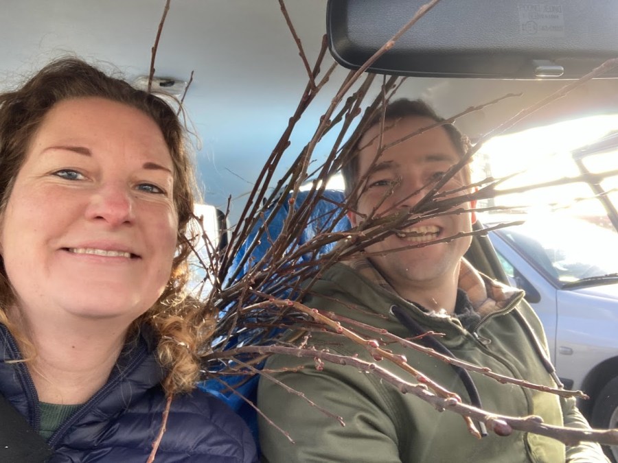 wildplanten den haag