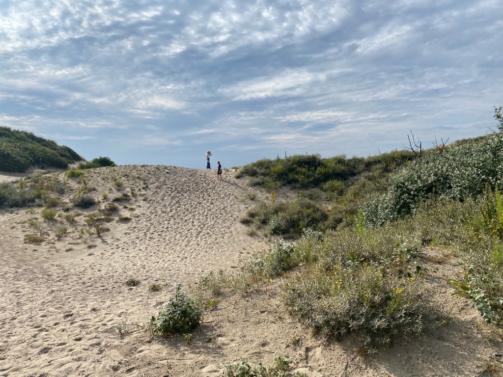 waarom is wandelen ontspannend