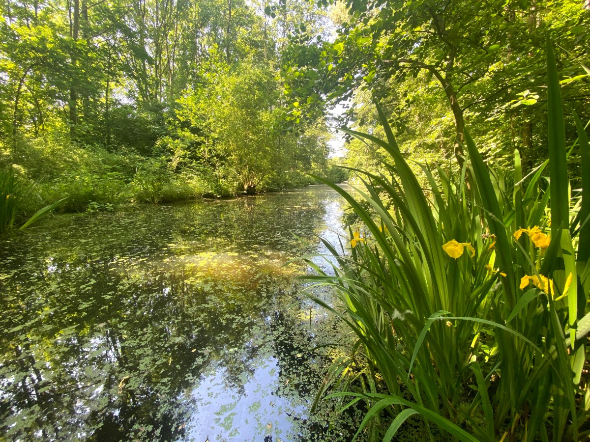 5 tips voor betere foto’s tijdens je&nbsp;wandeling
