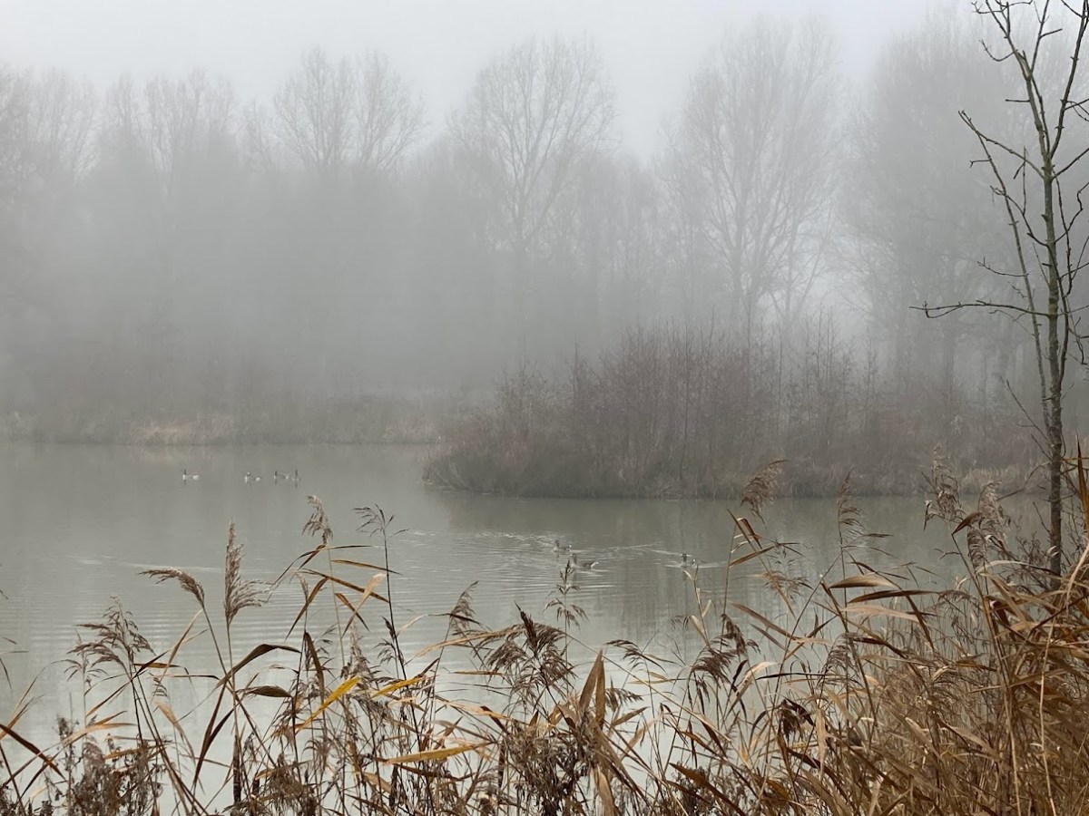 Stilteweekend in Horssen