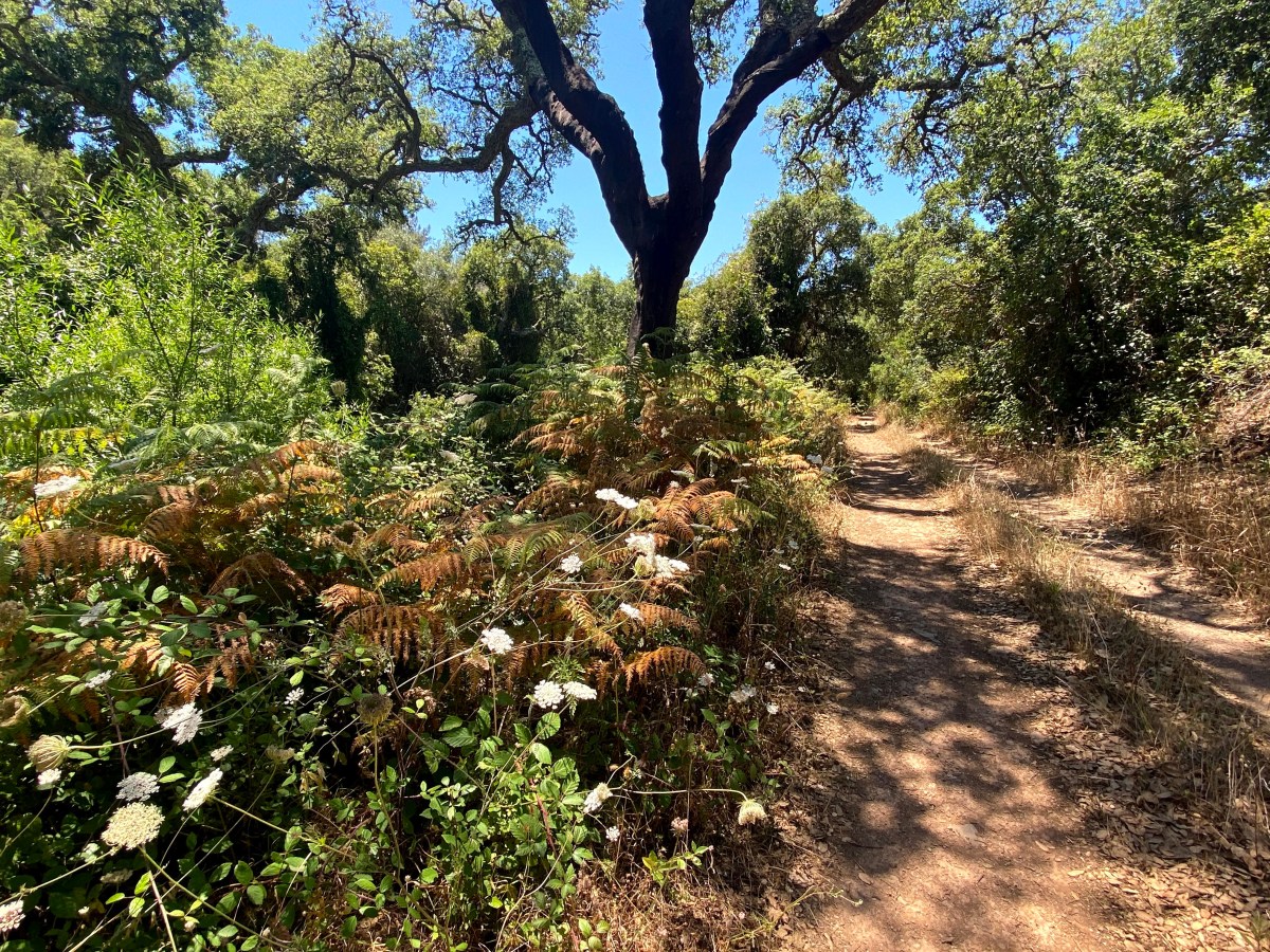 Bordeira trail: een zinderende wandeling in ruraal&nbsp;Algarve