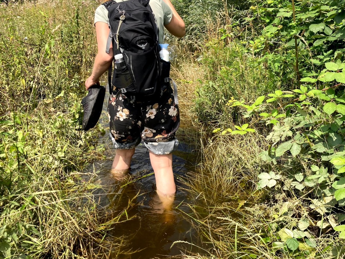 Voorbij de verwachting: wandelen is&nbsp;levenskunst