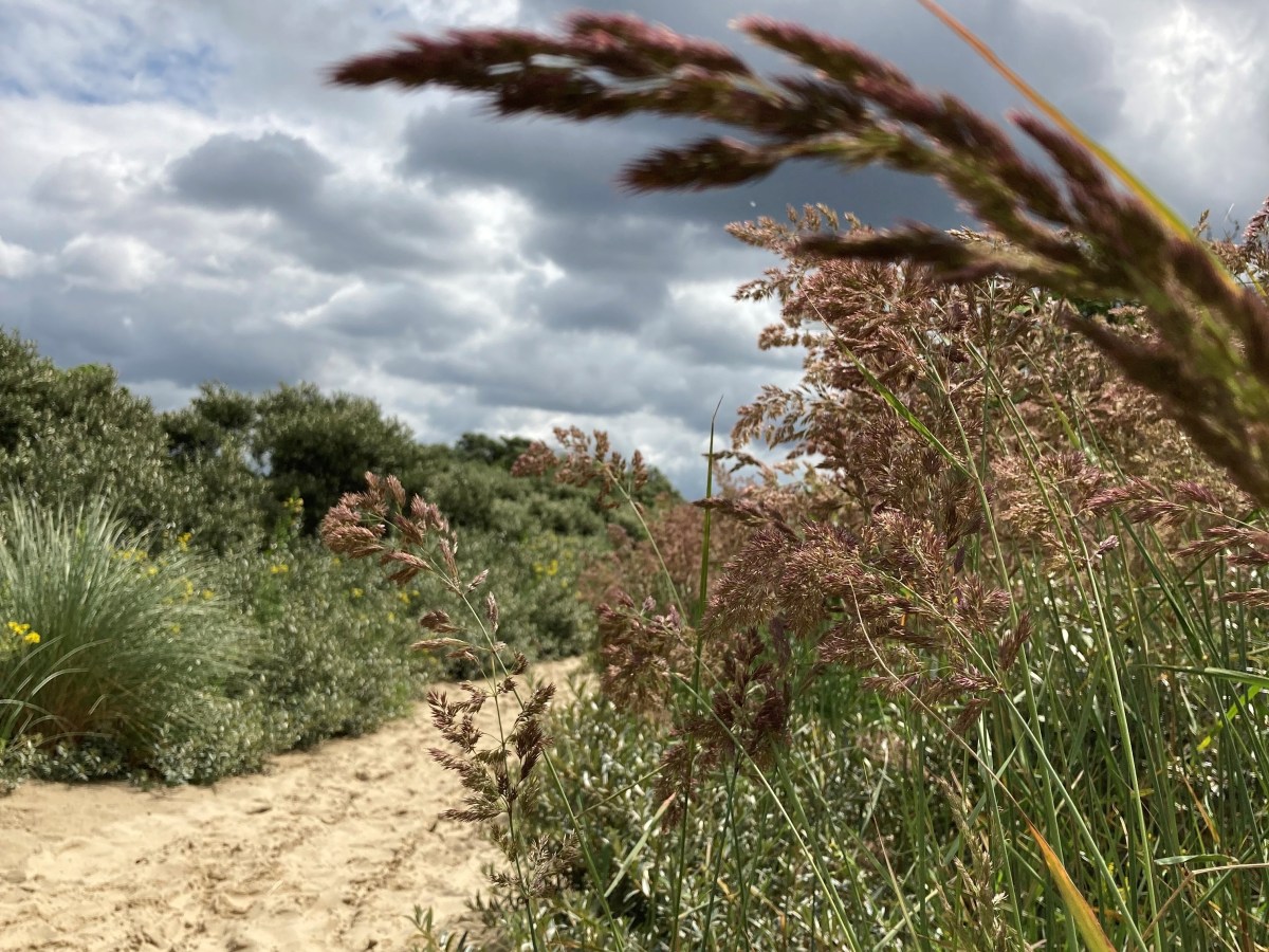 Kijfhoek en Bierlap: magische vondst in&nbsp;Meyendel