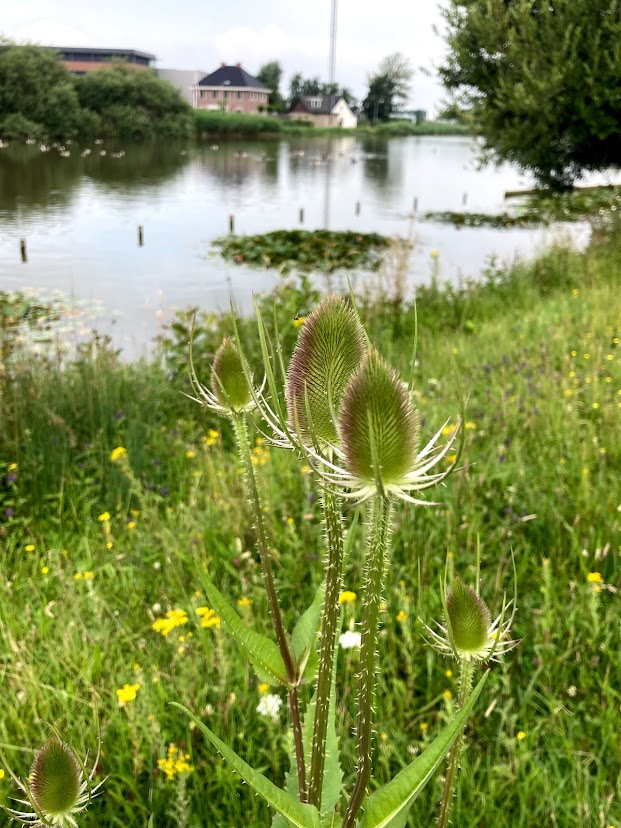 rondje uithof den haag