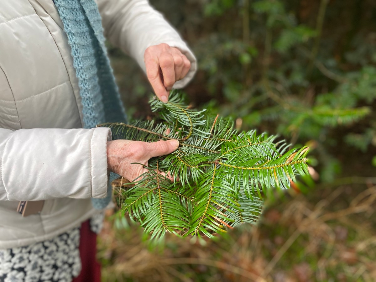 Wildpluk op het Pieterpad met een bijzondere&nbsp;vrouw