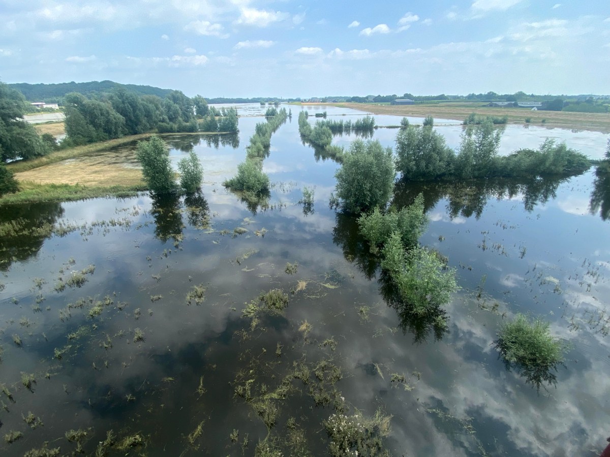 NS wandeling Rhenen: een natte kont in de Blauwe&nbsp;Kamer
