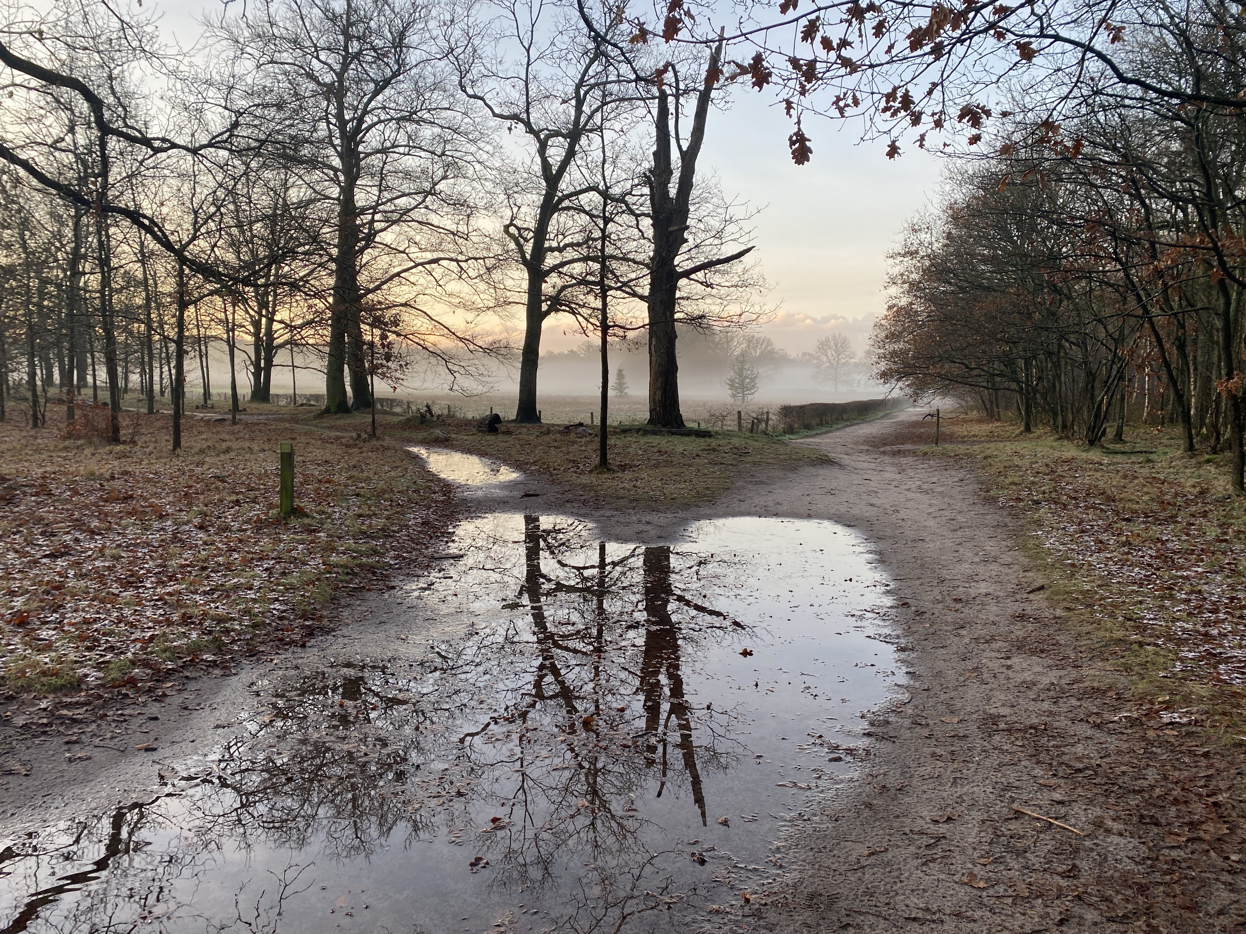 Wandeling Utrechts landschap haast natuur