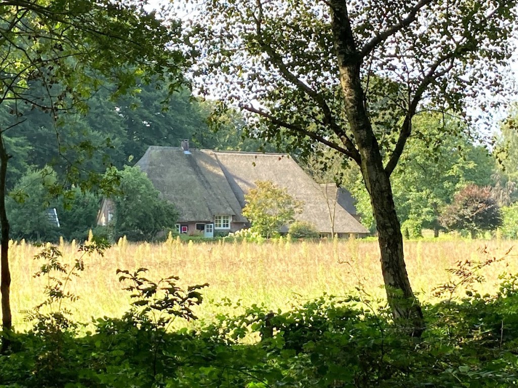 boerderij in de zon