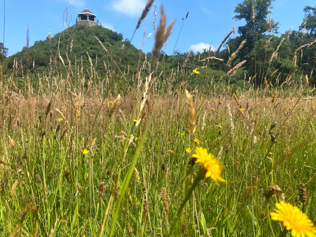wassenaar de horsten wandeling