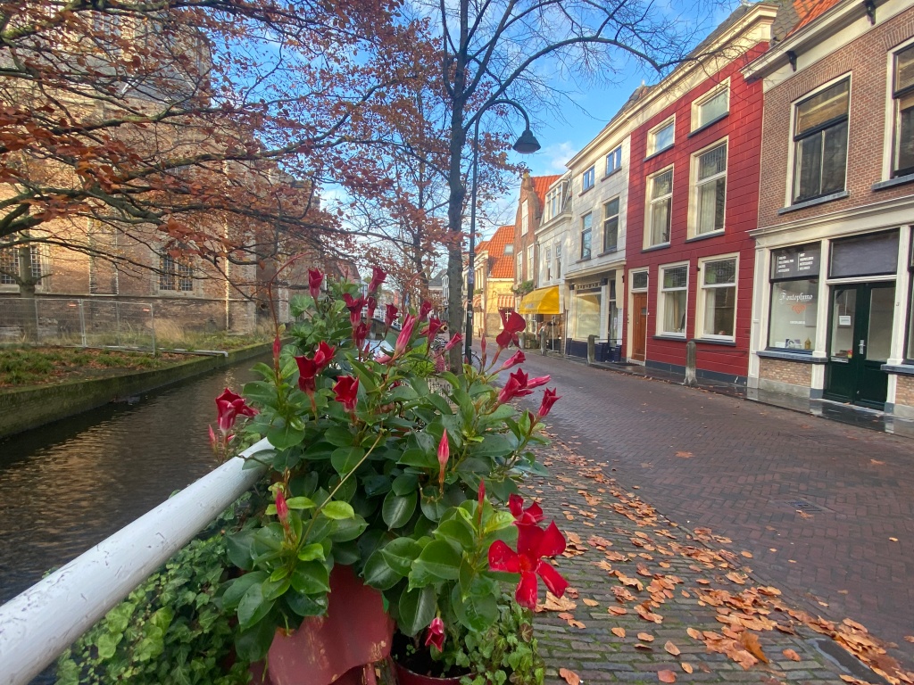 Groene wissen Delft oude binnenstad wandeling