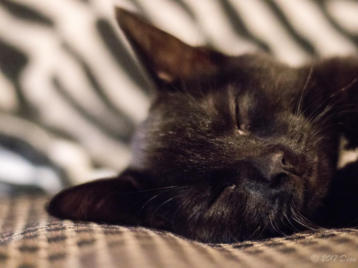 Is er meer in het leven dan liefde en&nbsp;loslaten?